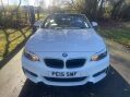 BMW 2 Series 2.0 220d M Sport Euro 6 (s/s) 2dr 2