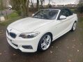 BMW 2 Series 2.0 220d M Sport Euro 6 (s/s) 2dr 18