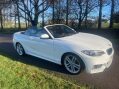 BMW 2 Series 2.0 220d M Sport Euro 6 (s/s) 2dr 9
