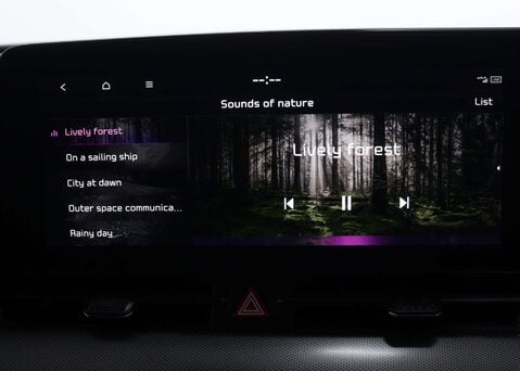 Kia Sportage 1.6 Sportage 3 HEV Auto 5dr 31