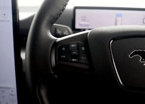 Ford Mustang Mach-E Mustang Mach-E Extended-Range RWD 5dr 33