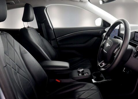 Ford Mustang Mach-E Mustang Mach-E Extended-Range RWD 5dr 41