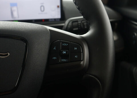 Ford Mustang Mach-E Mustang Mach-E Extended-Range RWD 5dr 37