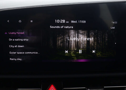 Kia Niro 1.6 Niro 2 HEV Semi-Auto 5dr 31