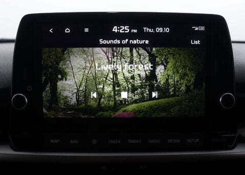 Kia Picanto 1.0 Picanto X-Line S Auto 5dr 27