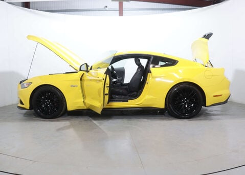 Ford Mustang 5.0 Mustang GT Auto 2dr 51