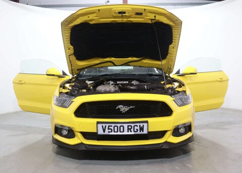 Ford Mustang 5.0 Mustang GT Auto 2dr 49