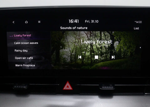 Kia Sportage 1.6 Sportage GT-LINE S PHEV 4x4 A 4WD 5dr 31