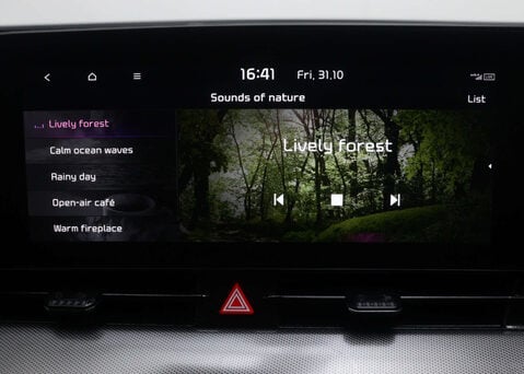 Kia Sportage 1.6 Sportage GT-LINE S PHEV 4x4 A 4WD 5dr 31