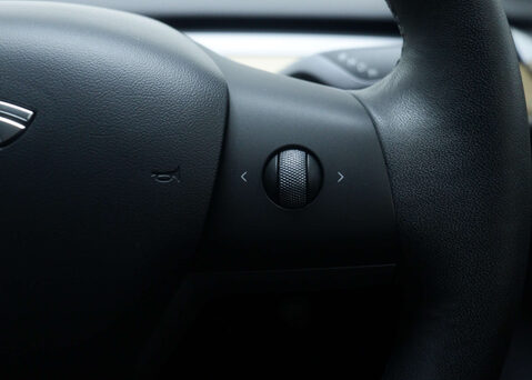 Tesla Model 3 Model 3 Standard Range + 4dr 29