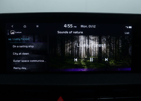 Kia EV6 EV6 GT-Line S 5dr 31