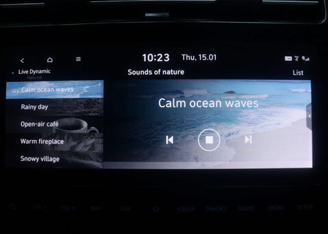 Hyundai TUCSON 1.6 Tucson Premium TGDi PHEV 4x4 Auto 4WD 5dr 29