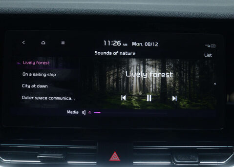 Kia Niro Niro 4+ EV 5dr 31