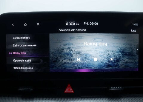 Kia Sportage 1.6 Sportage GT-Line PHEV 4x4 Auto 4WD 5dr 31