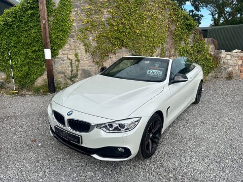 BMW 4 Series 2.0 420d Sport Euro 6 (s/s) 2dr 11