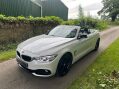 BMW 4 Series 2.0 420d Sport Euro 6 (s/s) 2dr 12