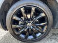Volkswagen T-Roc BLACK EDITION TSI 19