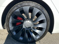 Tesla Model 3 PERFORMANCE 17