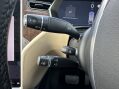 Tesla Model X 100D 31