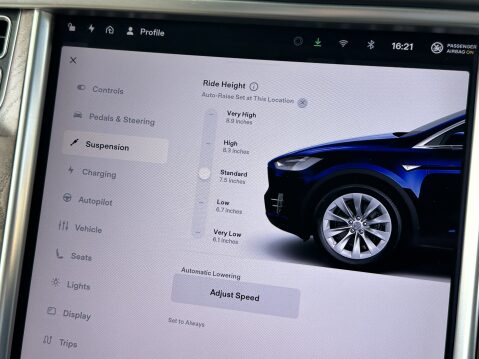 Tesla Model X 100D 36