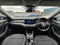 Skoda Octavia SE TDI DSG 23