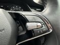 Skoda Octavia SE TDI DSG 27
