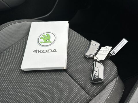 Skoda Octavia SE TDI DSG 33