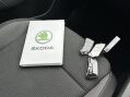 Skoda Octavia SE TDI DSG 33