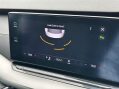 Skoda Octavia 2.0 TDI SE Hatchback 5dr Diesel DSG Euro 6 (s/s) (116 ps) 31