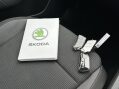 Skoda Octavia 2.0 TDI SE Hatchback 5dr Diesel DSG Euro 6 (s/s) (116 ps) 33