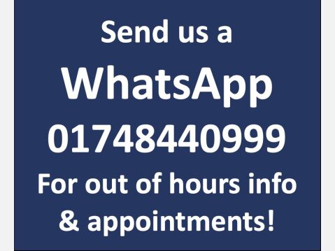 Tesla Model 3 (Dual Motor) Performance Saloon 4dr Electric Auto 4WDE (Performance Upgrade 31