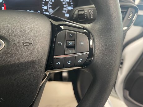 Ford Fiesta TREND 29