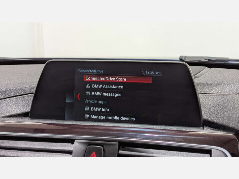 BMW 3 Series 3.0 335d xDrive M Sport Shadow Edition Auto 4WD 5dr 41