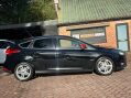 Ford Focus 2.0 TDCi Titanium Euro 6 (s/s) 5dr 3