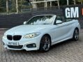 BMW 2 Series 2.0 220d M Sport Auto Euro 6 (s/s) 2dr 14