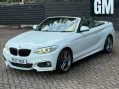 BMW 2 Series 2.0 220d M Sport Auto Euro 6 (s/s) 2dr 13
