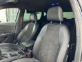 SEAT Leon 2.0 Leon Cupra 290 TSi Semi-Auto 5dr 44