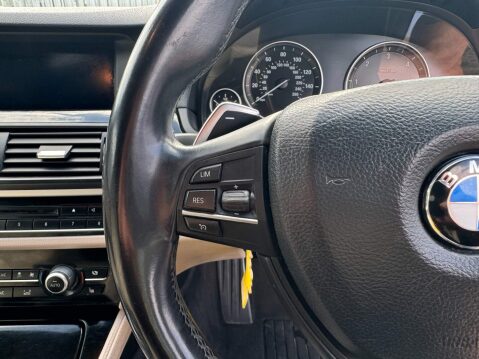BMW 5 Series 5 Series 3.0 530d M Sport Auto Euro 5 (s/s) 4dr 37