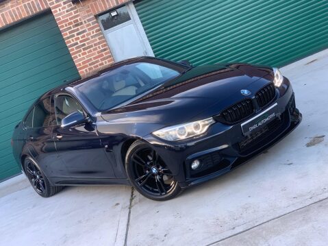 BMW 4 Series 2.0 420d M Sport Auto Euro 6 (s/s) 5dr 51