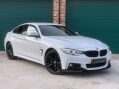 BMW 4 Series 2.0 420d M Sport Auto xDrive Euro 6 (s/s) 5dr 1