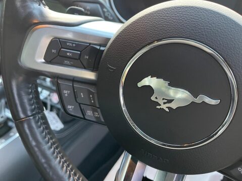Ford Mustang 2.3T EcoBoost Fastback SelShift Euro 6 2dr 12