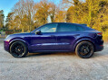 Porsche Cayenne 3.0 V6 E-Hybrid 25.9kWh TiptronicS 4WD Euro 6 (s/s) 5dr 11