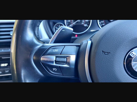 BMW 3 Series 3.0 335d M Sport Auto xDrive Euro 6 (s/s) 4dr 38