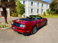 Ford Mustang 2.3T EcoBoost SelShift Euro 6 2dr 71
