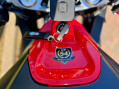 Aprilia RS 660 660 Limited Edition Euro 5 10