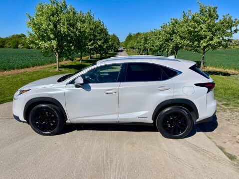 Lexus NX 2.5 300h Luxury E-CVT 4WD Euro 6 (s/s) 5dr 47