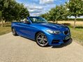 BMW 2 Series 3.0 M235i Auto Euro 6 (s/s) 2dr 33