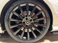 Mercedes-Benz SLK 2.0 SLK300 AMG Sport G-Tronic Euro 6 (s/s) 2dr 37