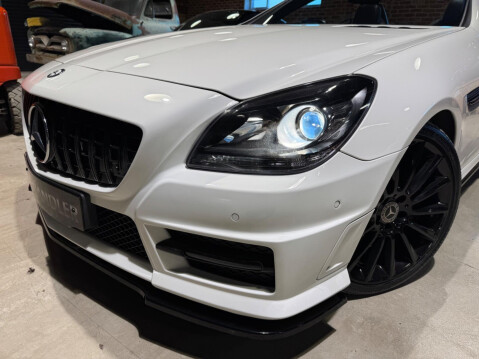 Mercedes-Benz SLK 2.0 SLK300 AMG Sport G-Tronic Euro 6 (s/s) 2dr 39