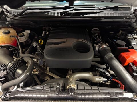 Ford Ranger 3.2 TDCi Wildtrak Auto 4WD Euro 6 4dr 50
